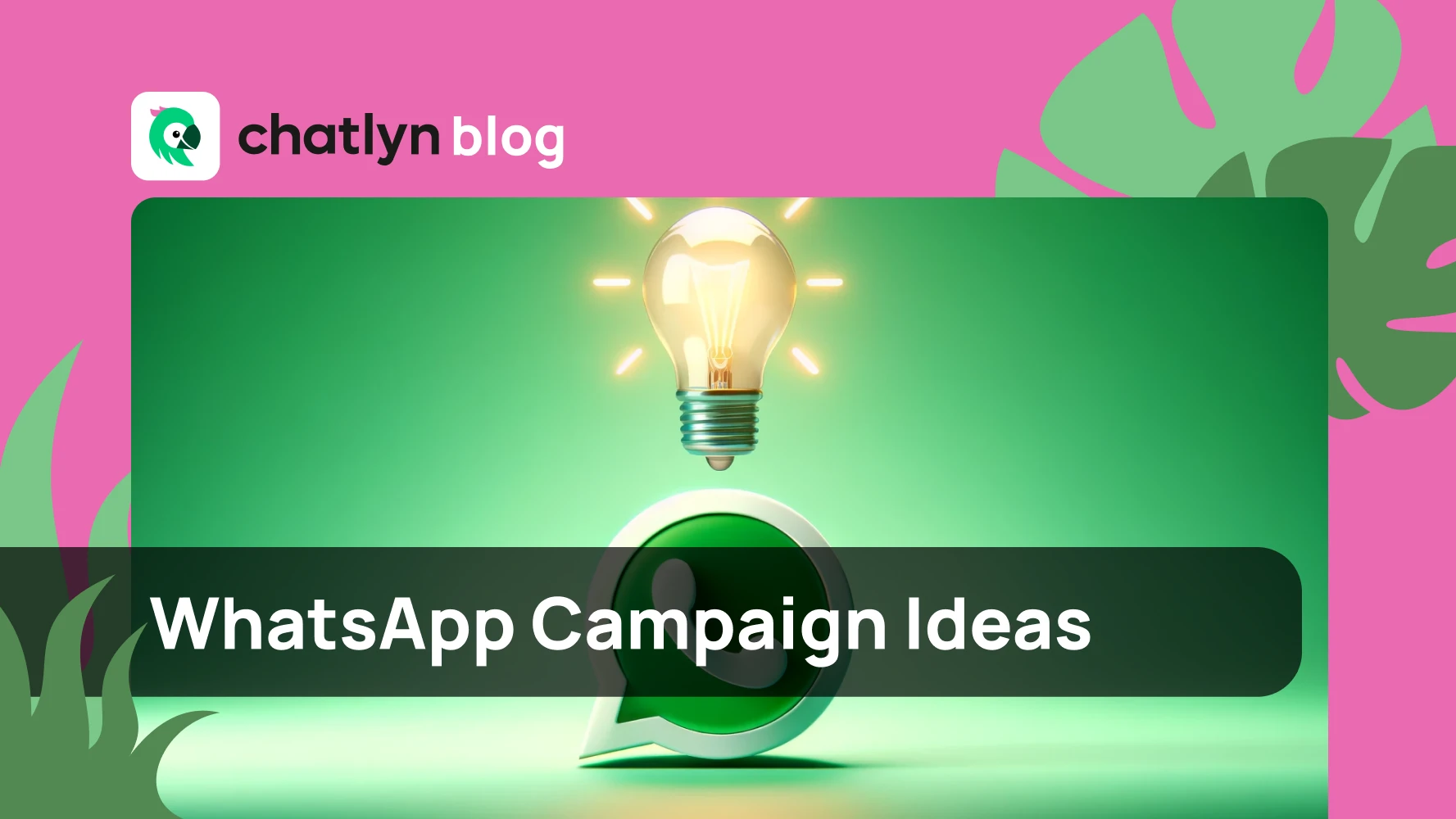 WhatsApp Campaign Ideas